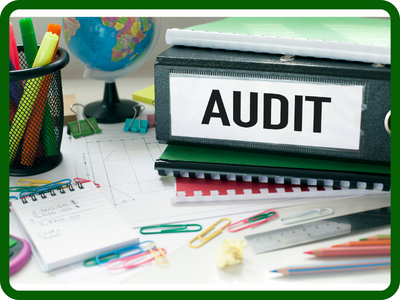 Data Protection Audit