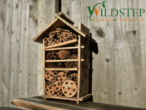 Bug Hotel - Holsworthy Project