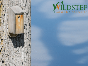 Bird Box - For Your Garden or as a Gift